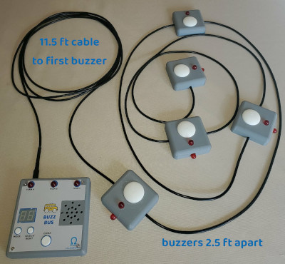 BuzzBus
